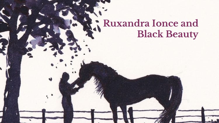 Interview With Ruxandra Ionce about Black Beauty