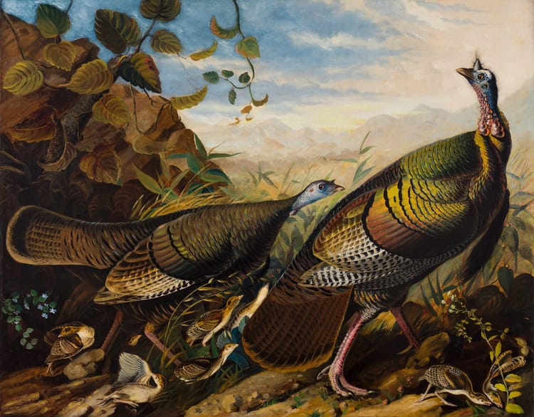 Merry Corncrakes 11.2: The Deceitful Turkey + Q&A
