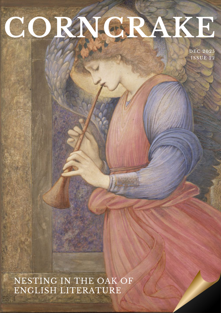 Corncrake December 2025