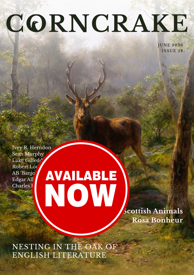 June Corncrake Out Now!